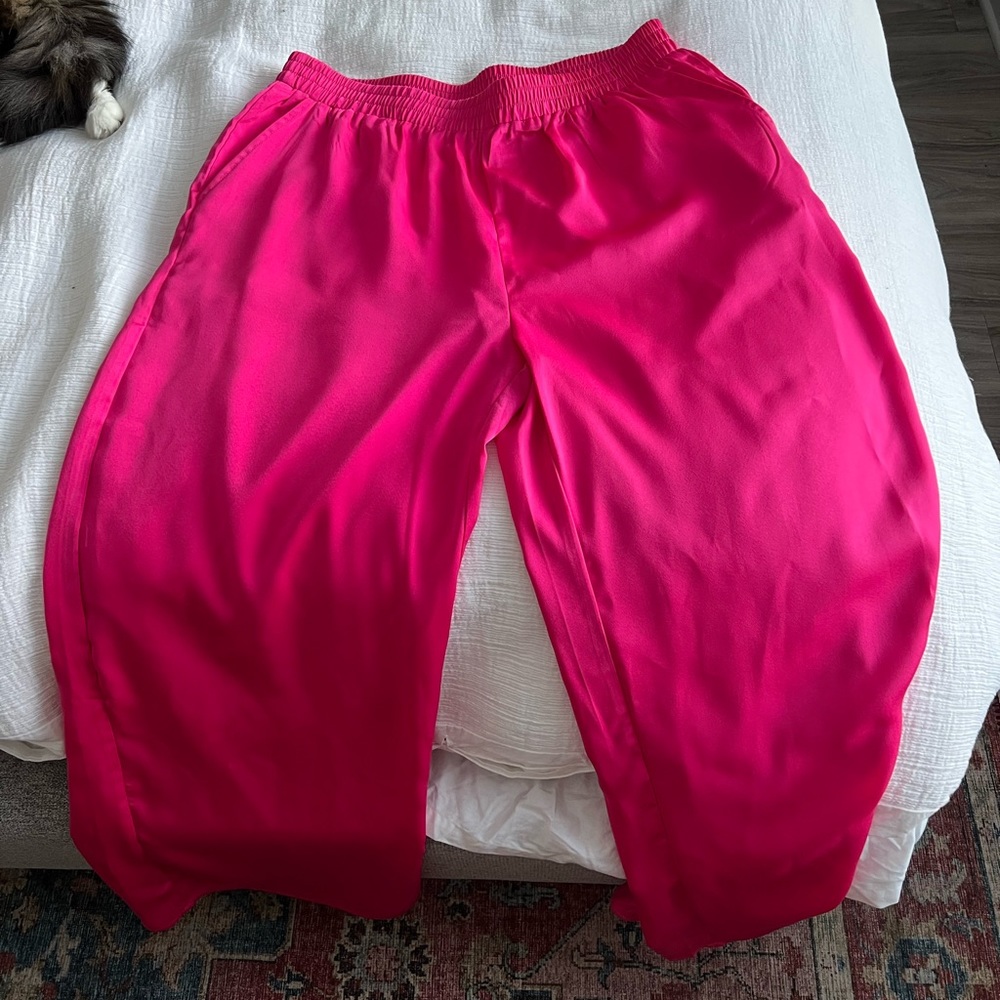 Hot pink, silky wide leg pants. Size large, NWT! Never worn!